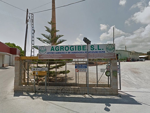 agrogibe-500