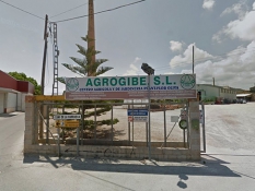 agrogibe-500