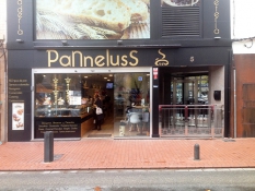 panneluss-500