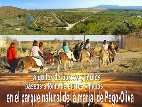 ecoburropark-2-500