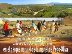 ecoburropark-2-500